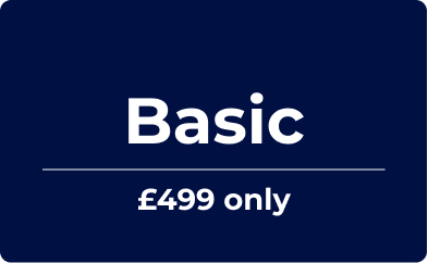 PRICING / WEBSITE /